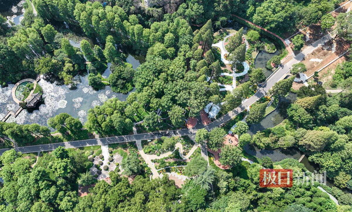 首存赠送活动